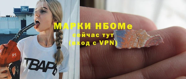 гидра Арсеньев