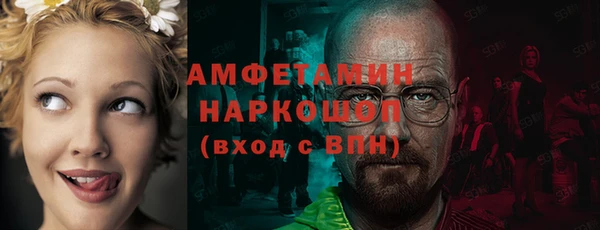 гидра Арсеньев