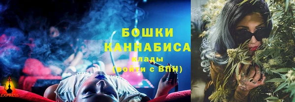 гидра Арсеньев