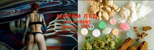 ГАЛЛЮЦИНОГЕННЫЕ ГРИБЫ Сатка
