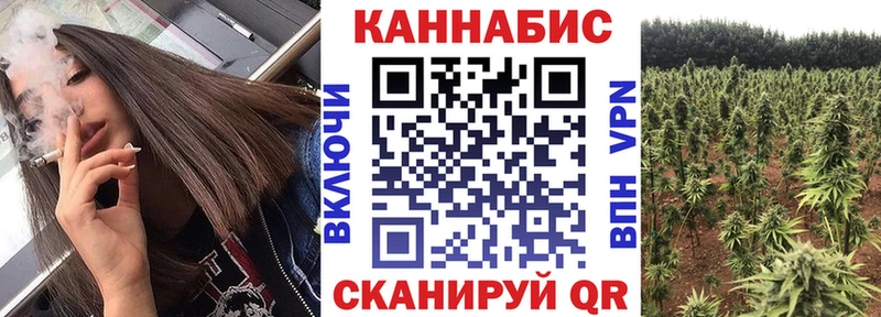 МАРИХУАНА планчик  где можно купить   Балтийск 